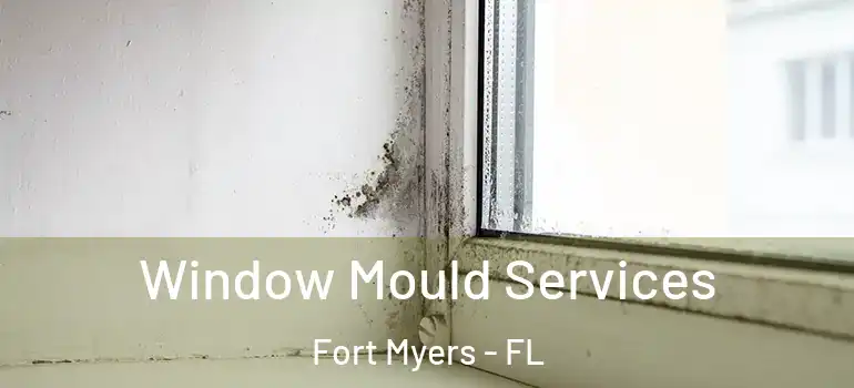  Window Mould Services Fort Myers - FL